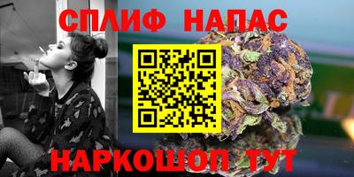 mdpv Славгород